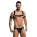 Elastic Chest Harness w Arm Bands L/XL